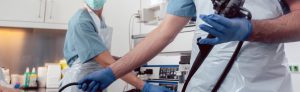 Endoscopia Veterinária em Curitiba
