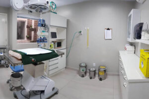 Centro cirúrgico - Hospital Veterinário LeVet