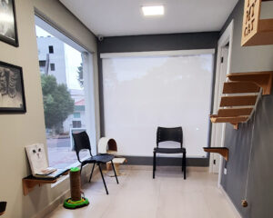 Sala de espera para felinos