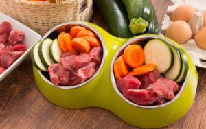LEVET || Alimentação Natural para Pets