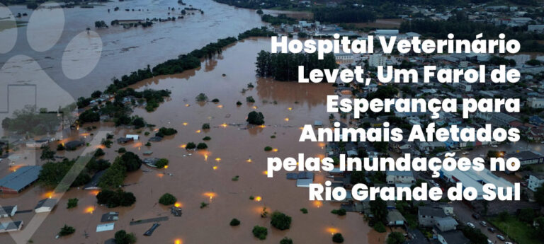 Hospital Veterinário Levet: Um Farol de Esperança para Animais Afetados pelas Inundações no Rio Grande do Sul