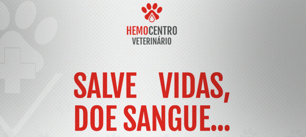 Amor que Transcende Espécies: Salvando Vidas com o Novo Hemocentro Veterinário em Curitiba
