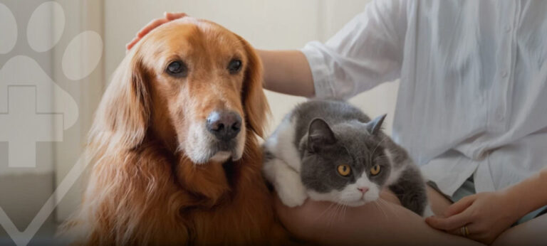 Câncer em Pets, Guia Completo para tutores