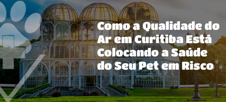 Descubra como a qualidade do ar em Curitiba está colocando a saúde do seu pet em risco