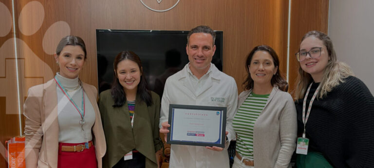 Hospital Veterinário Levet conquistou o prestigioso Certificado Internacional Cat Friendly