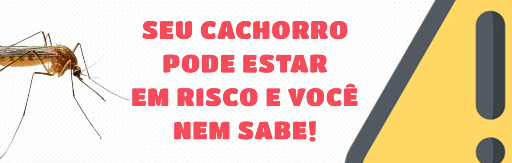 O Que é o Verme do Coração e Como Proteger Seu Pet Dessa Ameaça Silenciosa