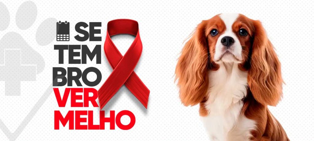 Em setembro, o Hospital Veterinário LeVet promove a campanha Setembro Vermelho, destacando a importância da prevenção e tratamento de doenças cardíacas em pets. Agende uma consulta e cuide da saúde do coração do seu animal!