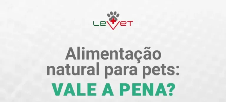 5 Dicas para Iniciar na Alimentação Natural para Pets