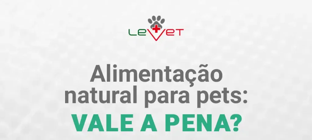 5 Dicas para Iniciar na Alimentação Natural para Pets