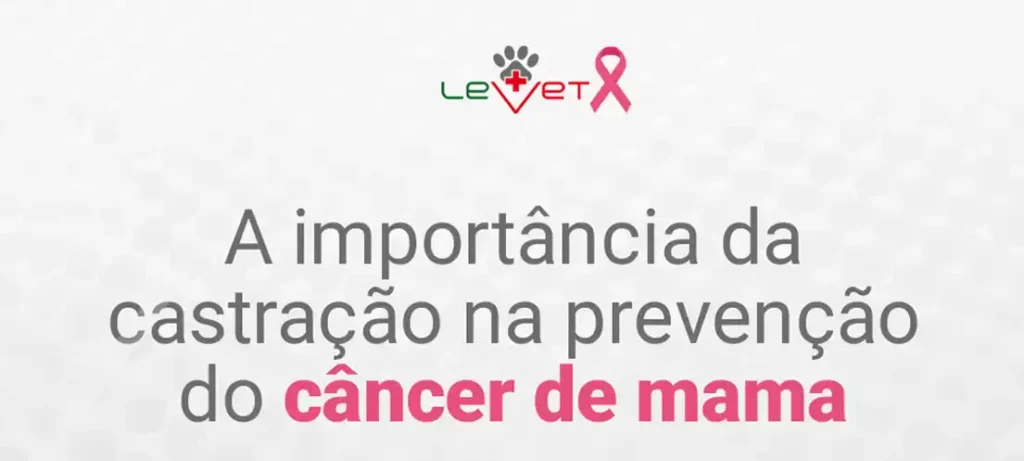 A importância da castração na prevenção do câncer de mama em pets