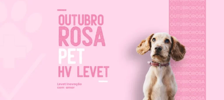 Câncer de Mama em Pets, Cuidado no Outubro Rosa