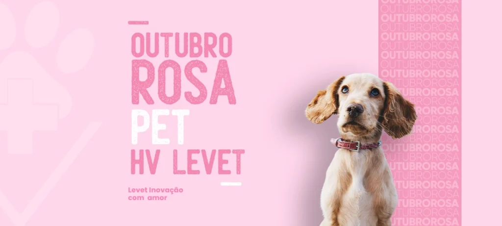 Câncer de Mama em Pets, Cuidado no Outubro Rosa