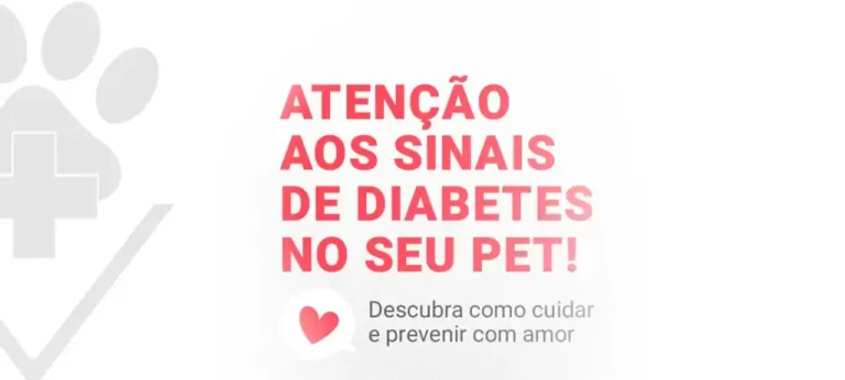 Diabete em Animais: Causas, Sintomas e Cuidados Essenciais para seu Pet