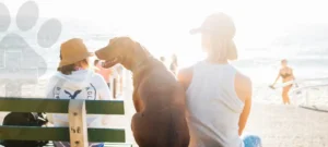 cães no litoral