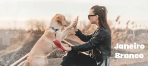 Janeiro Branco: saiba como os pets ajudam na saúde mental, transformando vidas em hospitais e casas. Cuide do seu pet com o HV LeVet