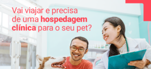 hospedagem clínica para pets - hospedagem para pets - cuidados com pets - dicas para tutores de pets - ansiedade de separação en pets - viagem com pets - segurança para pets - HV Levet - cuidados especiais para pets - bem-estar animal por 6 segundos Hospedagem Clínica para Pets, Dicas para Tutores, Viagem com Pet, Ansiedade de Separação, Segurança para Pets, HV Levet, Cuidados com Pets, Hospedagem Segura, Atendimento Veterinário, Pet Care