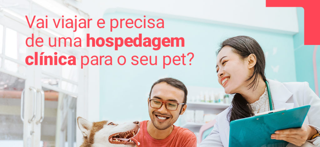 Hospedagem Clínica para Pets Dicas para Tutores que Vão Viajar